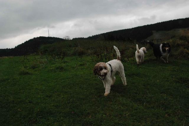 2009-10-03_ntb_9639