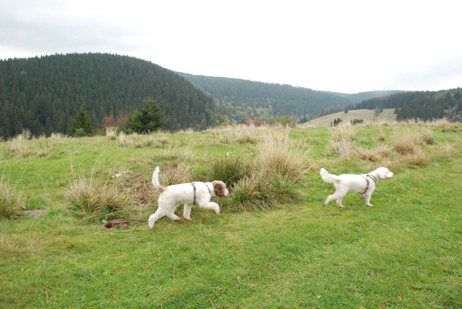 2009-10-03_ntb_9641