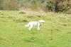 2009-10-03_ntb_9643