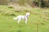 2009-10-03_ntb_9644