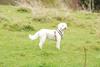 2009-10-03_ntb_9645
