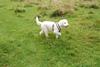 2009-10-03_ntb_9646