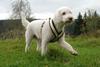 2009-10-03_ntb_9647