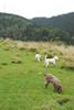 2009-10-03_ntb_9648