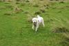 2009-10-03_ntb_9649