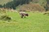 2009-10-03_ntb_9650