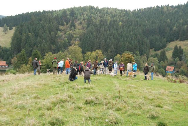 2009-10-03_ntb_9653