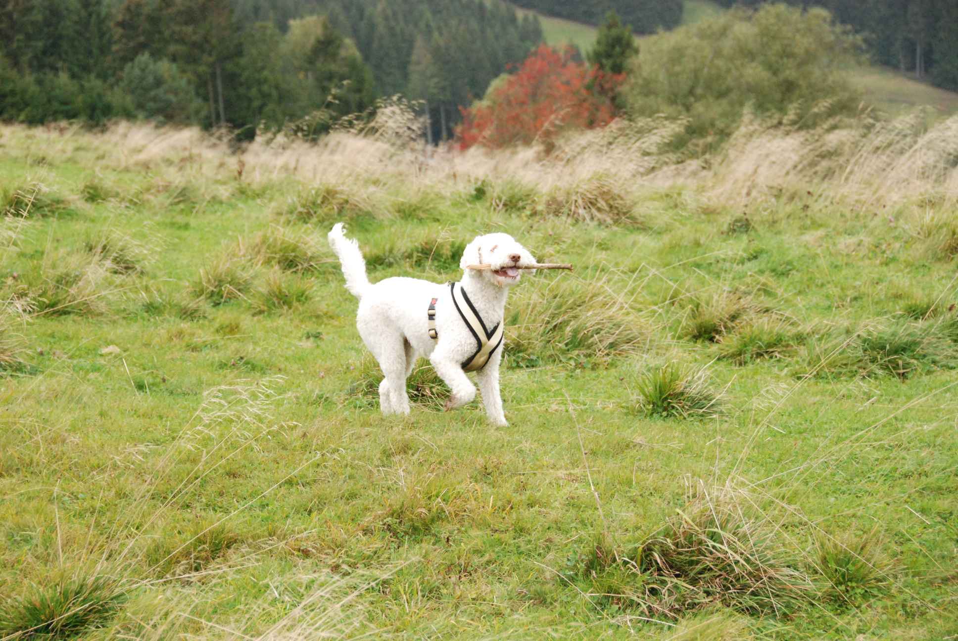 2009-10-03_ntb_9685