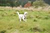 2009-10-03_ntb_9685