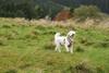 2009-10-03_ntb_9686