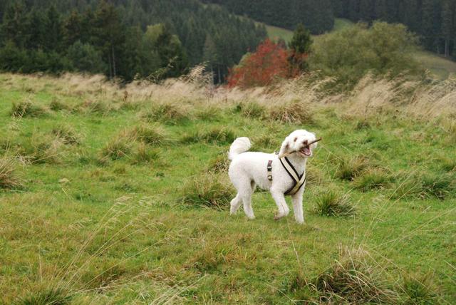 2009-10-03_ntb_9686