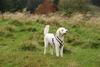 2009-10-03_ntb_9687
