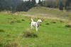 2009-10-03_ntb_9688