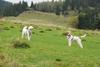 2009-10-03_ntb_9689