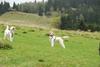 2009-10-03_ntb_9690