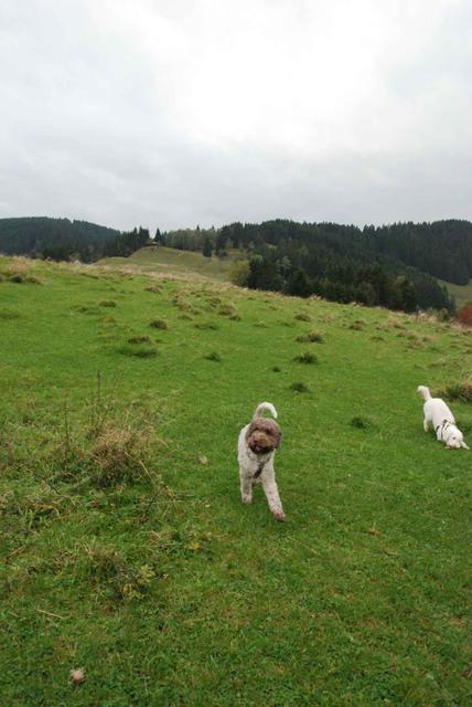 2009-10-03_ntb_9692