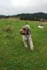 2009-10-03_ntb_9693