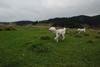 2009-10-03_ntb_9694