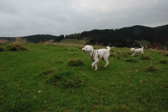2009-10-03_ntb_9694
