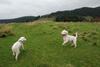 2009-10-03_ntb_9695