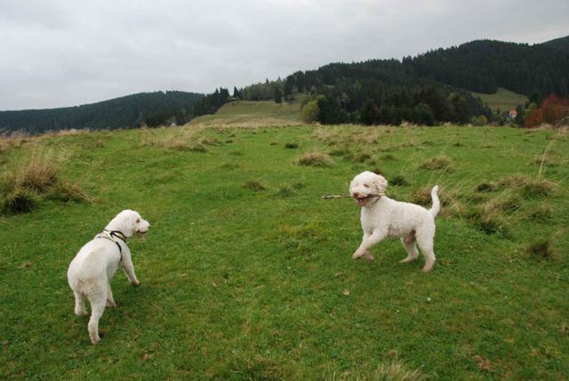 2009-10-03_ntb_9695