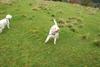 2009-10-03_ntb_9696