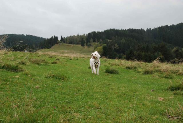 2009-10-03_ntb_9697