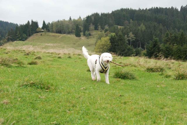 2009-10-03_ntb_9698