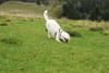 2009-10-03_ntb_9699
