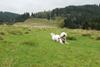 2009-10-03_ntb_9700