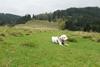 2009-10-03_ntb_9701