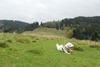 2009-10-03_ntb_9702