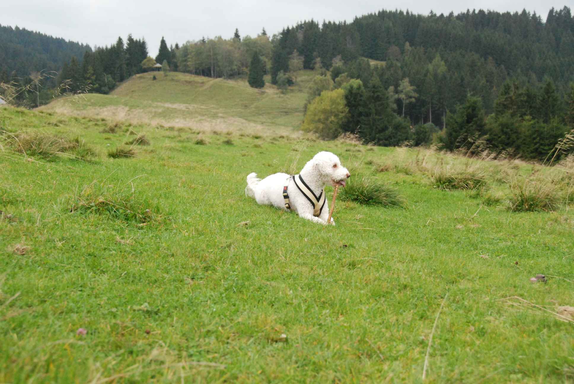2009-10-03_ntb_9703