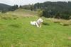 2009-10-03_ntb_9703