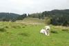 2009-10-03_ntb_9704