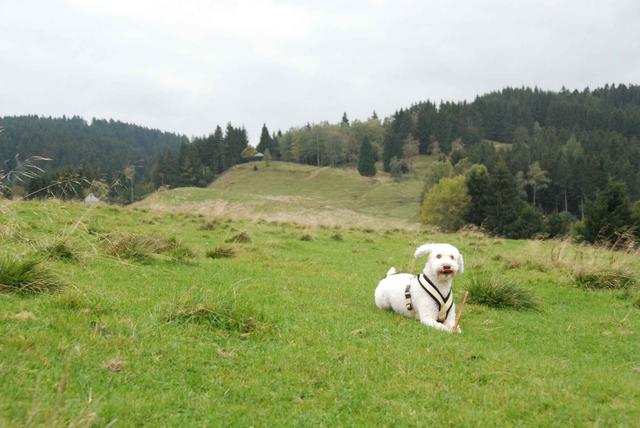 2009-10-03_ntb_9704