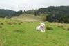 2009-10-03_ntb_9705