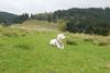 2009-10-03_ntb_9706