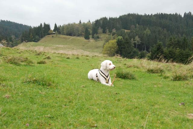 2009-10-03_ntb_9706