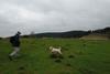 2009-10-03_ntb_9707