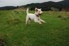 2009-10-03_ntb_9708