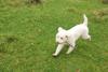 2009-10-03_ntb_9711