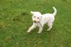 2009-10-03_ntb_9712