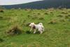 2009-10-03_ntb_9713