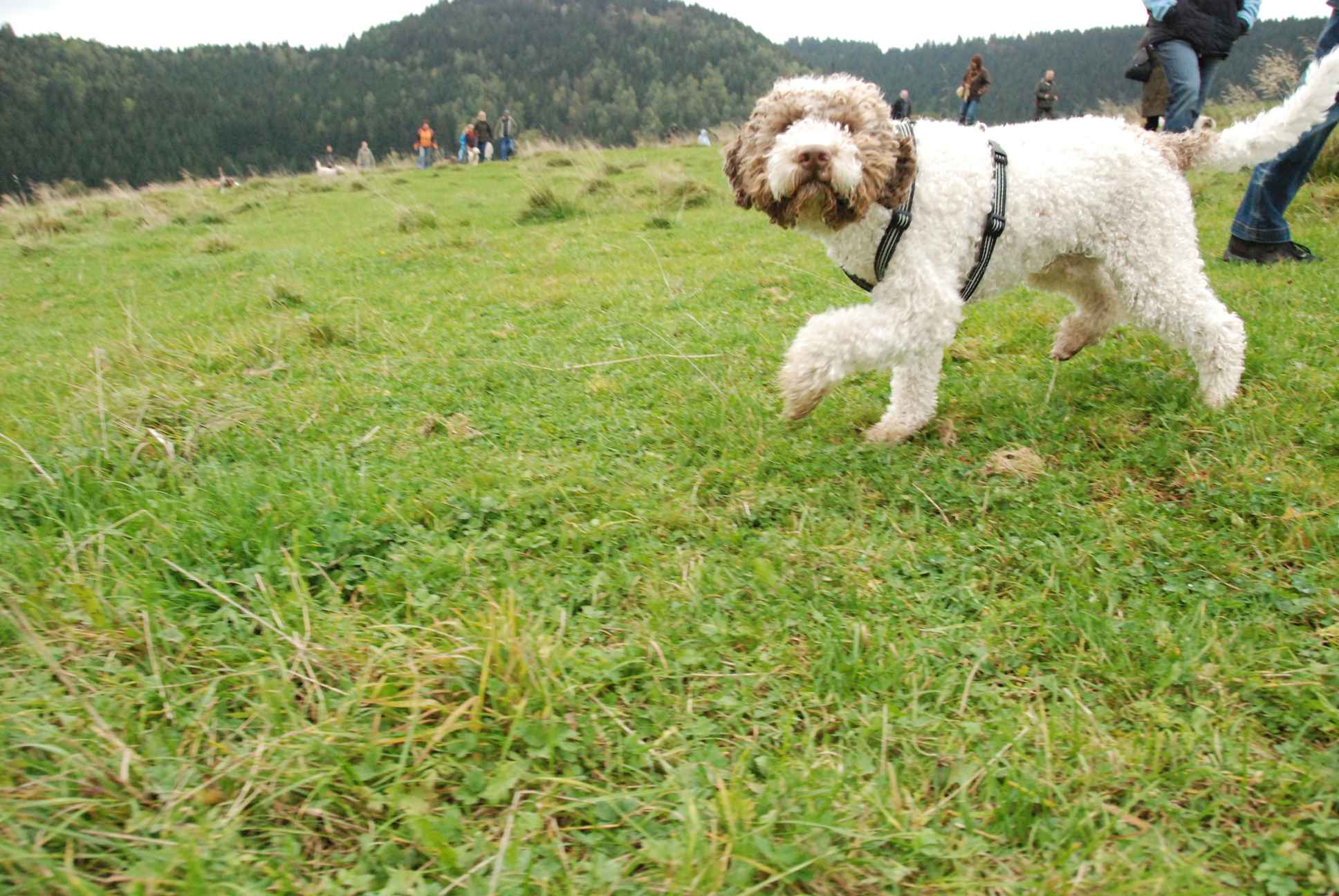 2009-10-03_ntb_9715
