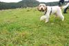 2009-10-03_ntb_9715
