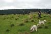 2009-10-03_ntb_9717