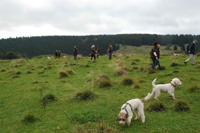 2009-10-03_ntb_9717
