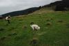 2009-10-03_ntb_9720