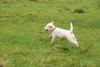 2009-10-03_ntb_9721
